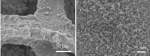 泡沫石墨烯負(fù)載碳納米管1.png